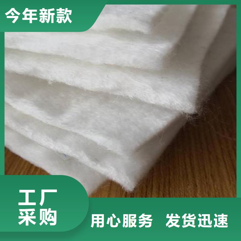 土工布-【蜂巢格室】源头厂家