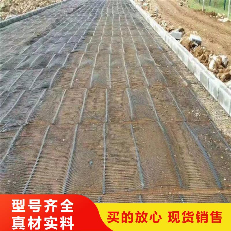 单向塑料土工格栅双向塑料土工格栅现货齐全售后无忧