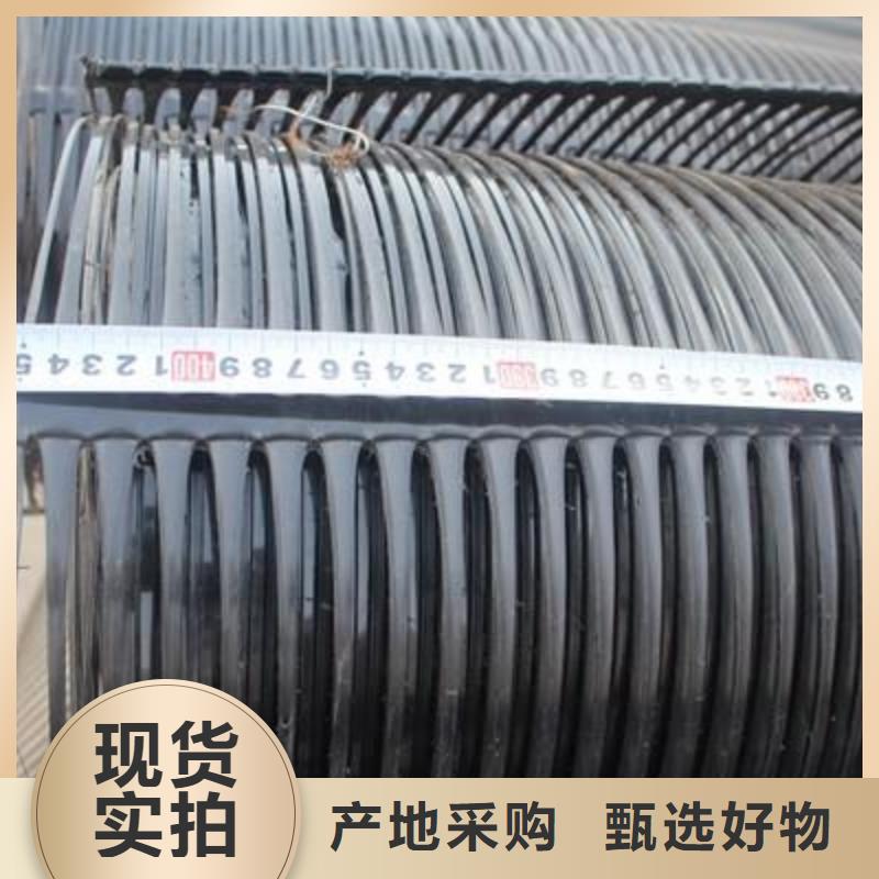 单向塑料土工格栅 【三维植被网】甄选好厂家