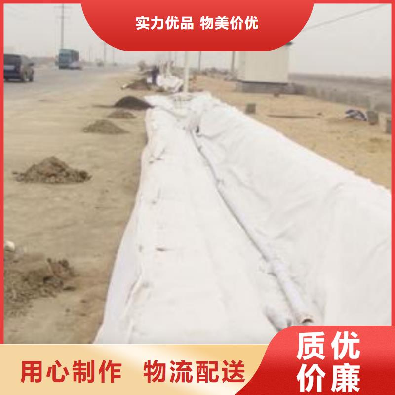 【复合土工膜钢塑土工格栅实力工厂】