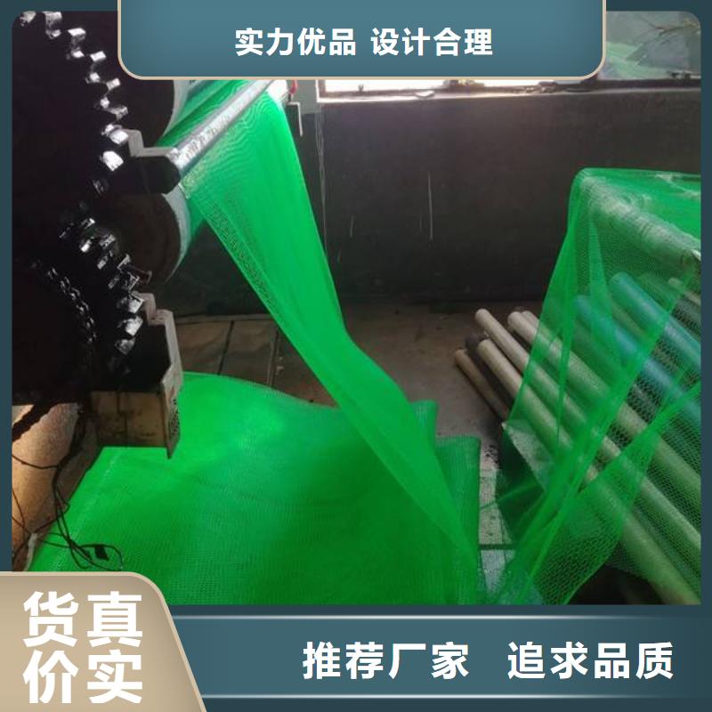 三维植被网钢塑土工格栅真材实料