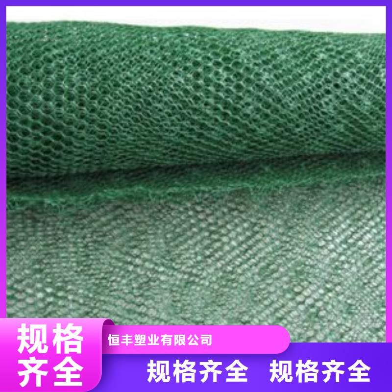三维植被网加筋布现货实拍