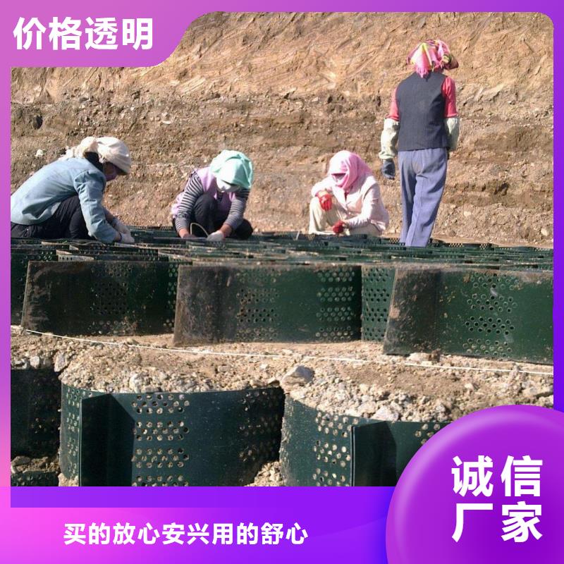 【土工格室双向塑料土工格栅支持定制】