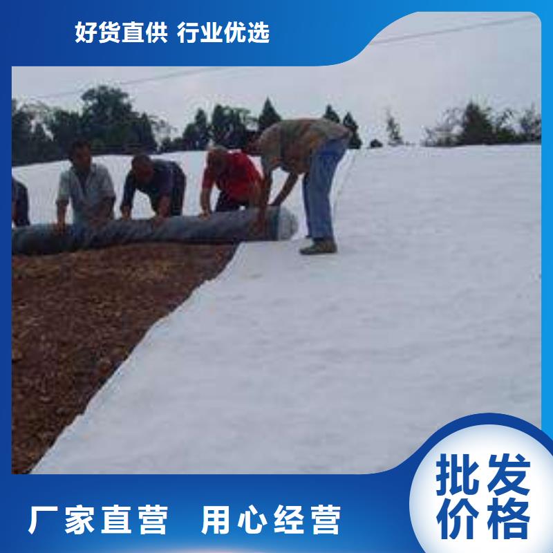 膨润土防水毯三维复合排水网现货充足量大优惠