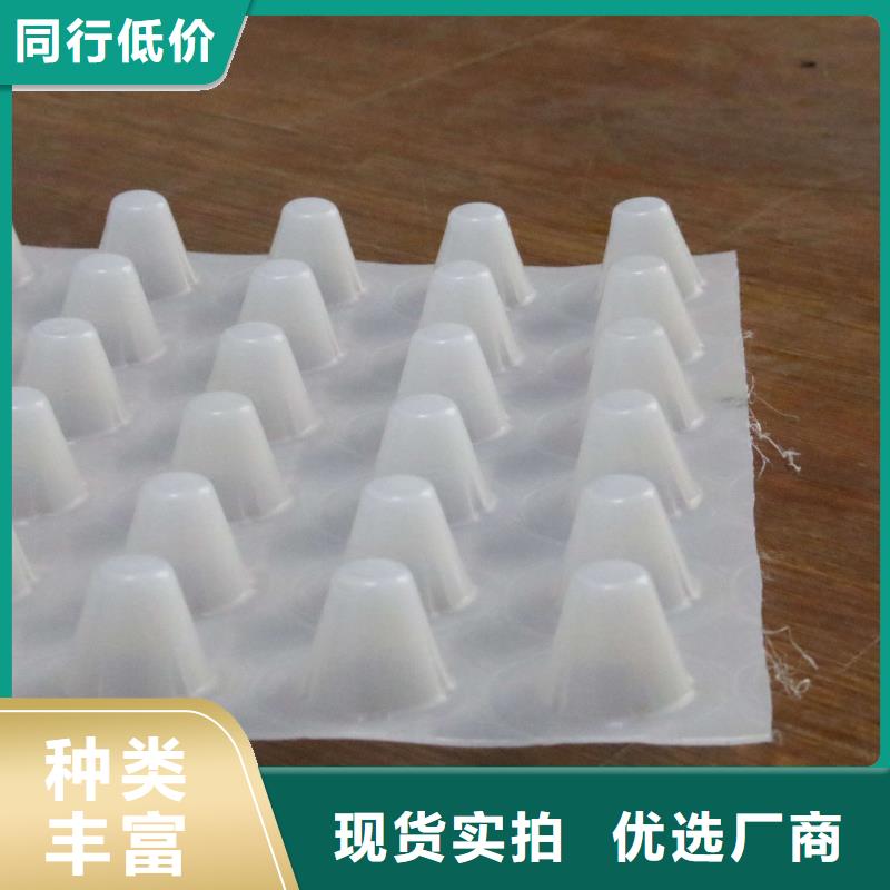 排水板三维土工网垫好品质选我们