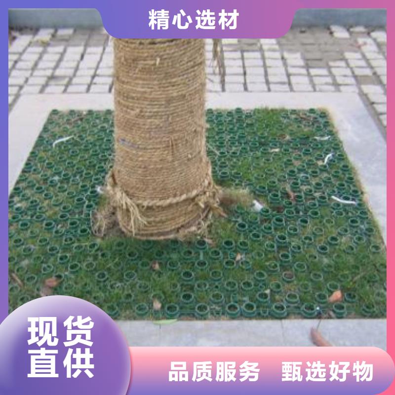 植草格【加筋布】出货及时