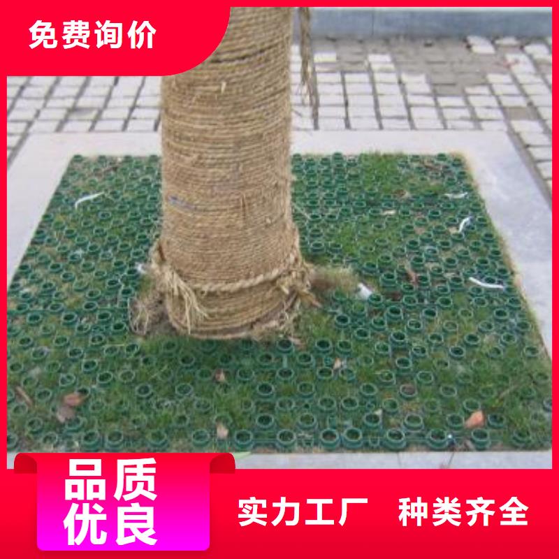 植草格防渗膜厂家