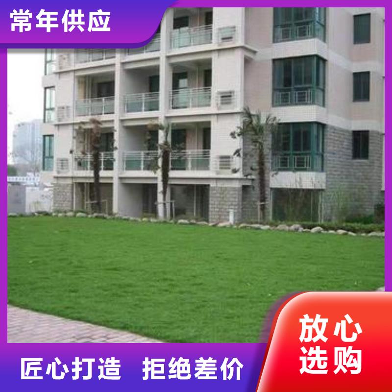 植草格塑料盲沟专业完善售后