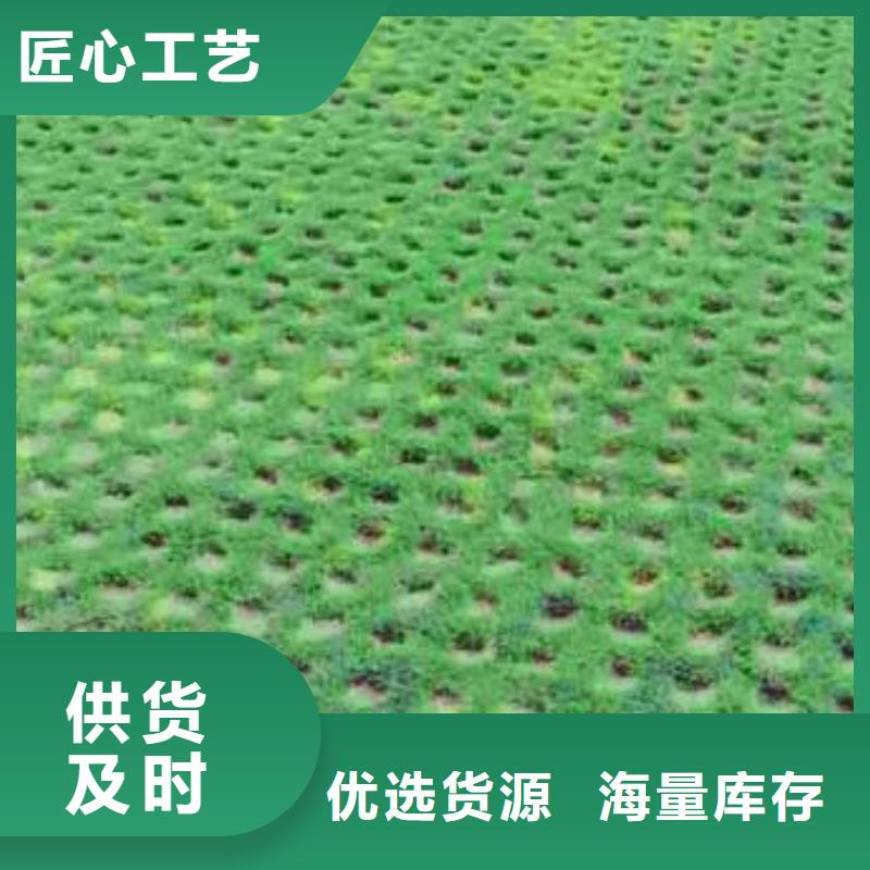 植草格短丝土工布专业的生产厂家