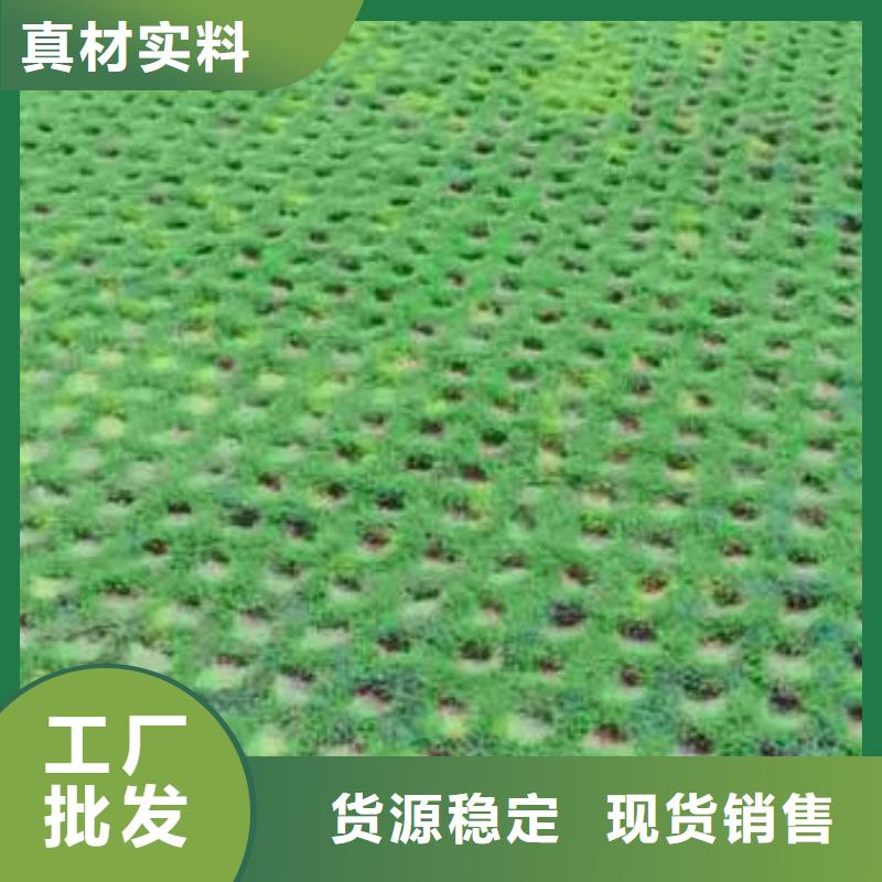 植草格塑料盲沟质量检测