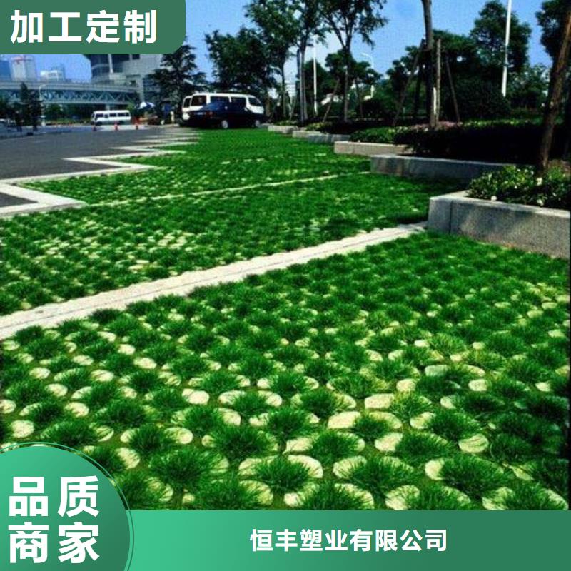 植草格_【城建土工膜】推荐厂家