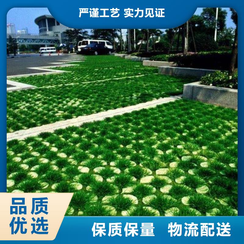 植草格,双向塑料土工格栅源头厂源头货