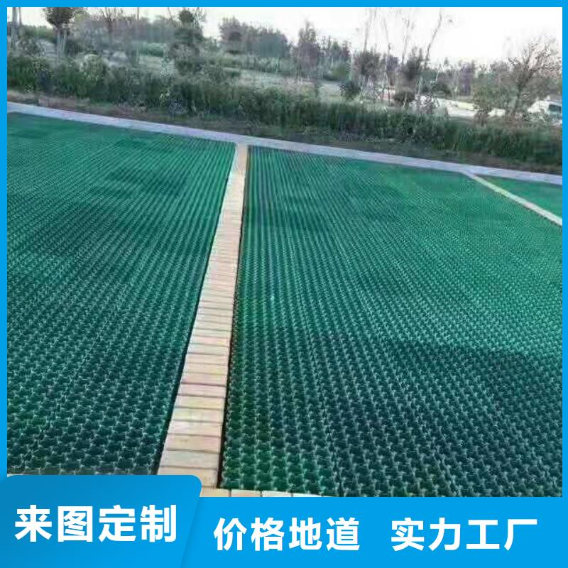 植草格【双向拉伸塑料格栅】产地直销