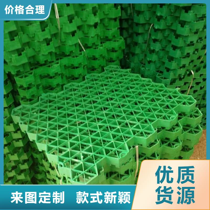 植草格-【防渗土工膜】品质商家