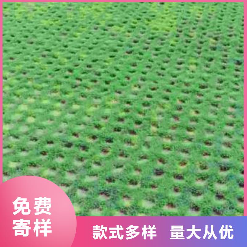 植草格-【PP焊接土工格栅】专业生产厂家