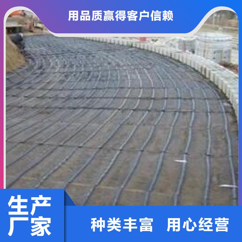 【玻璃纤维土工格栅】土工席垫厂家工艺先进