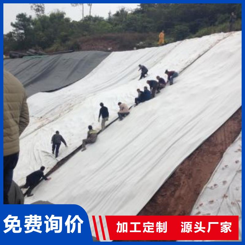 【膨润土防水毯】双向塑料土工格栅专业生产N年