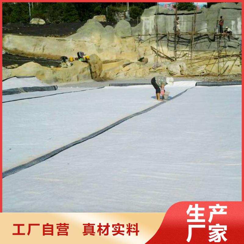 膨润土防水毯涤纶土工格栅工厂批发