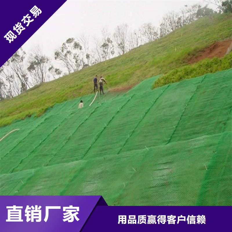 三维植被网钢塑土工格栅价格实惠工厂直供