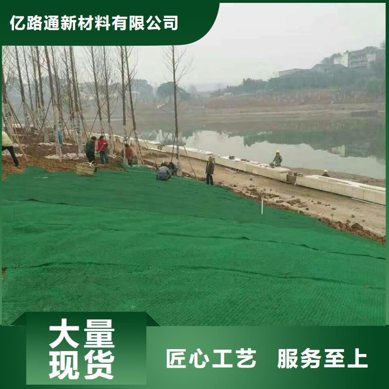 【三维植被网】钢塑土工格栅精工打造