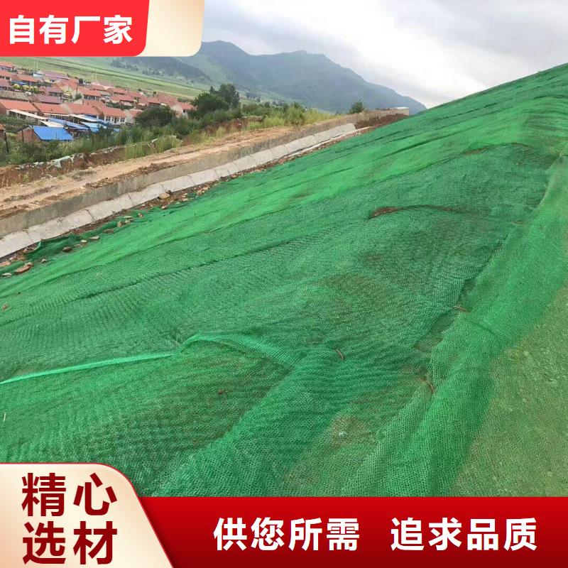 【三维植被网】防水土工布支持定制加工