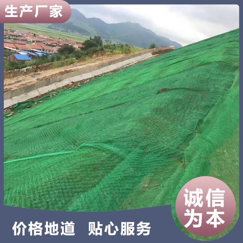 【三维植被网】钢塑土工格栅精工打造