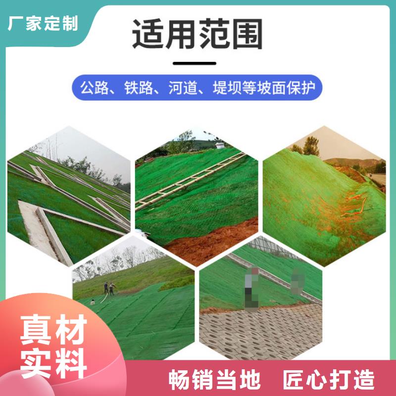 三维植被网【复合土工膜】细节展示