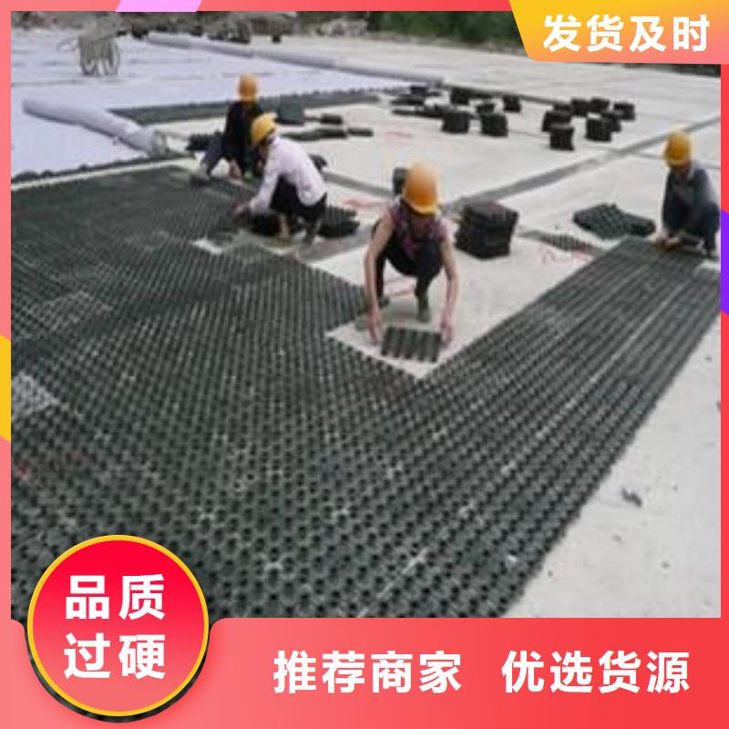 塑料排水板土工席垫支持定制批发
