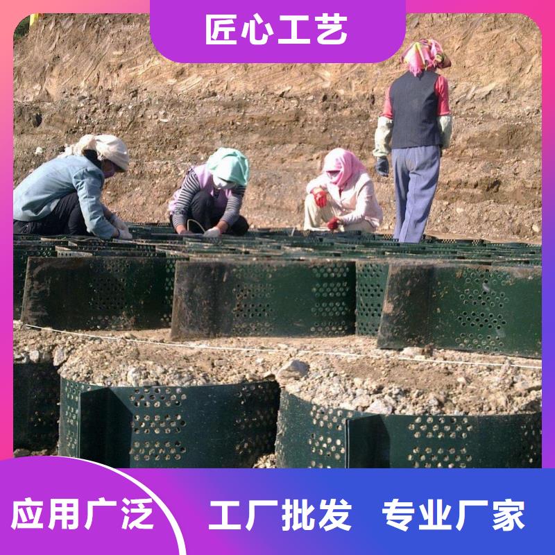 土工格室,护坡土工网今日价格