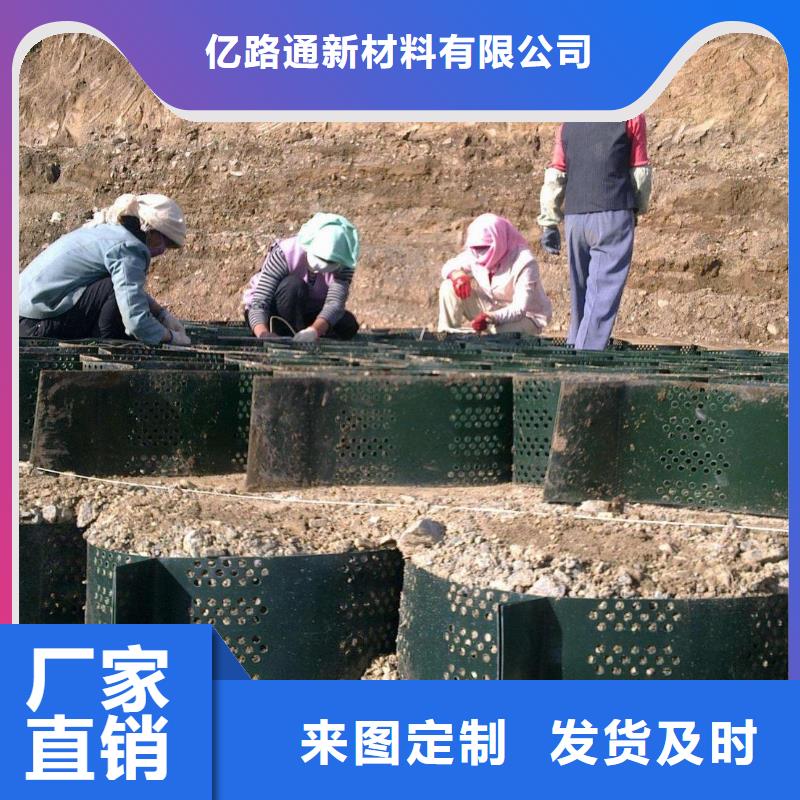 土工格室-塑料土工格栅48小时发货