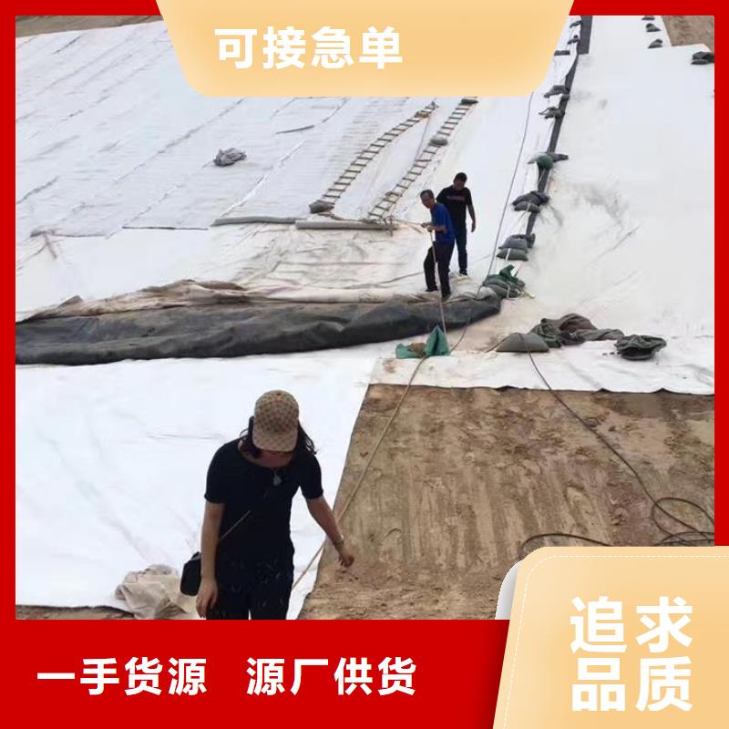 三维复合排水网-塑料土工格栅好货采购