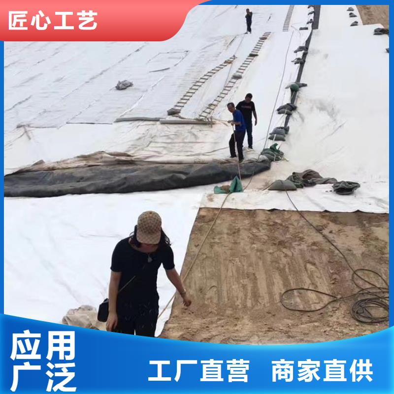 三维复合排水网,钢塑土工格栅现货