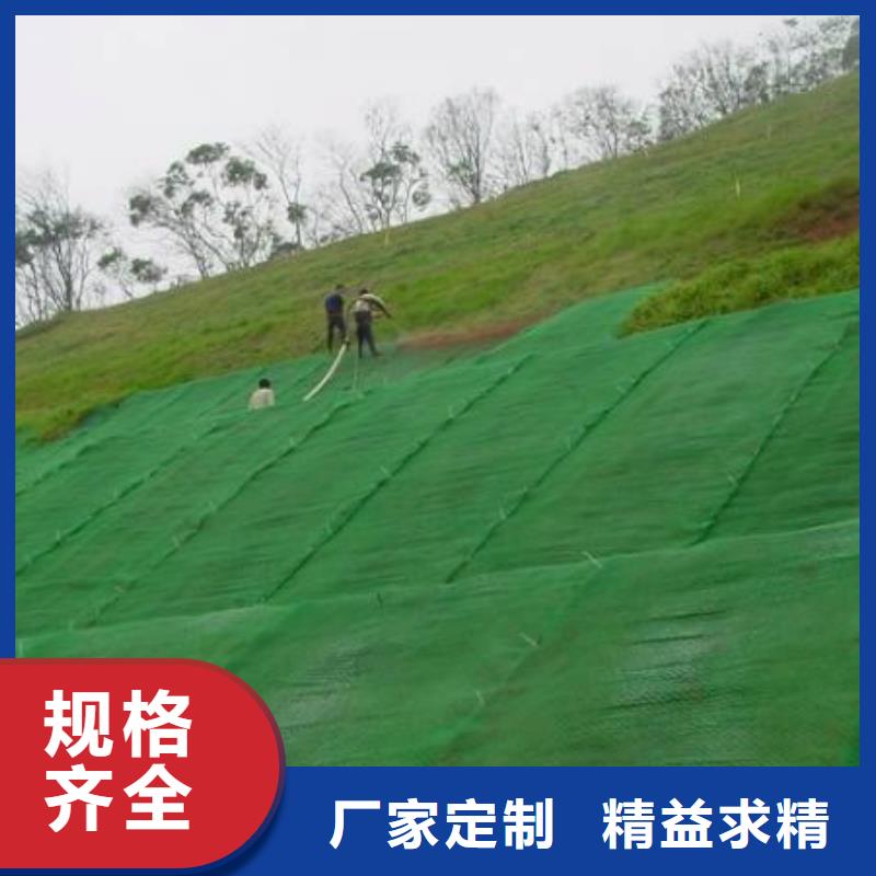 三维植被网单向塑料土工格栅分类和特点