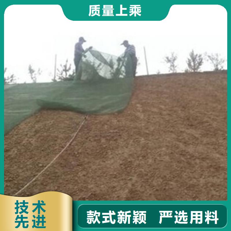 三维植被网-【钢塑土工格栅】诚信经营质量保证