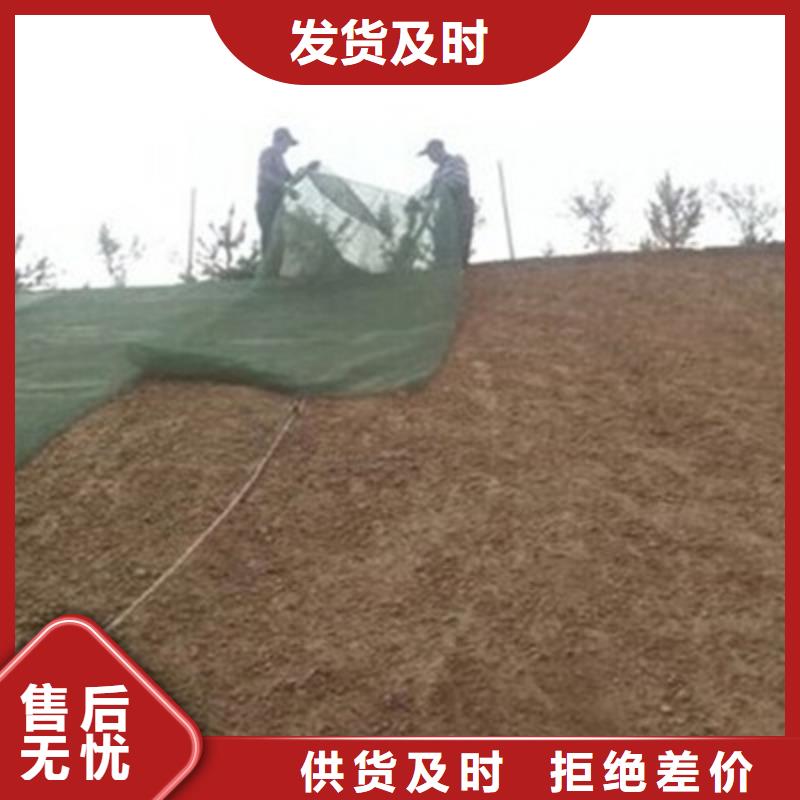 【三维植被网玻纤土工格栅优选厂家】