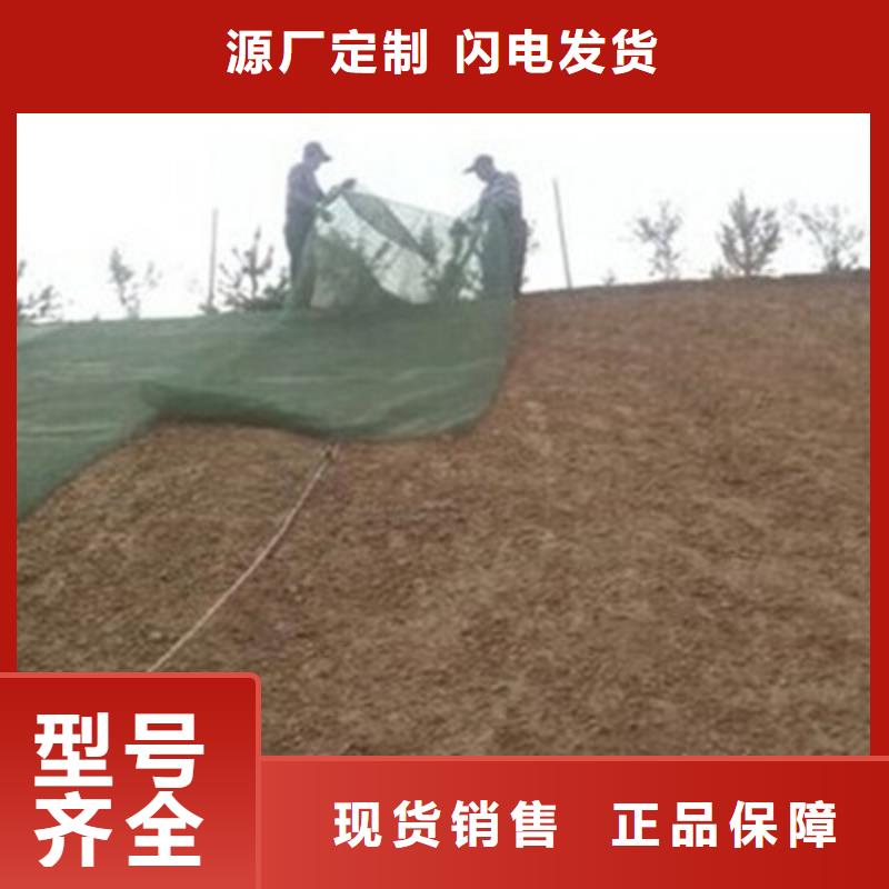 【三维植被网pp焊接土工格栅每个细节都严格把关】