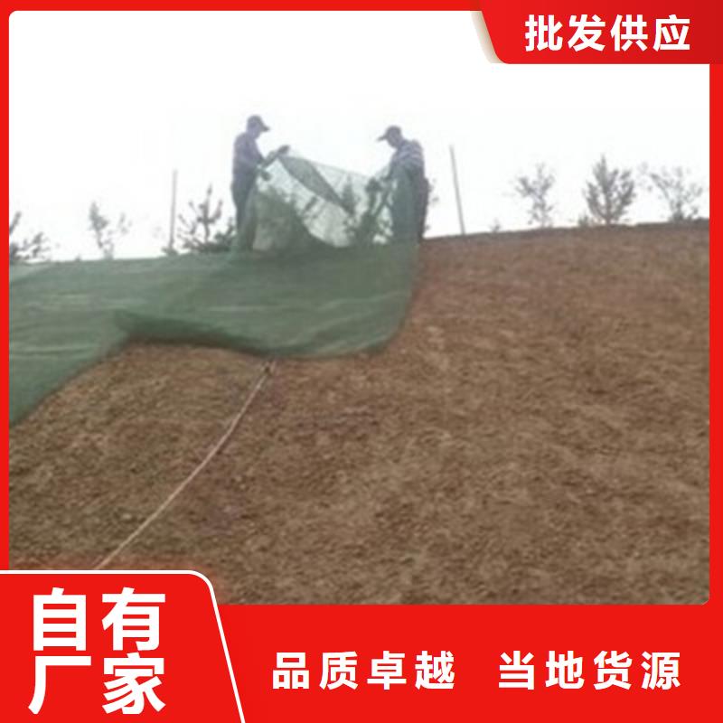 三维植被网无中间商厂家直销