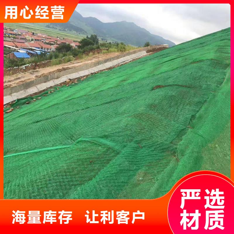 三维植被网-【钢塑土工格栅】诚信经营质量保证