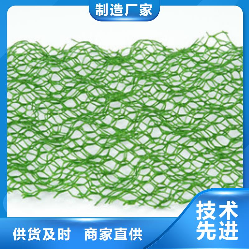 三维植被网三维土工网垫长期供应