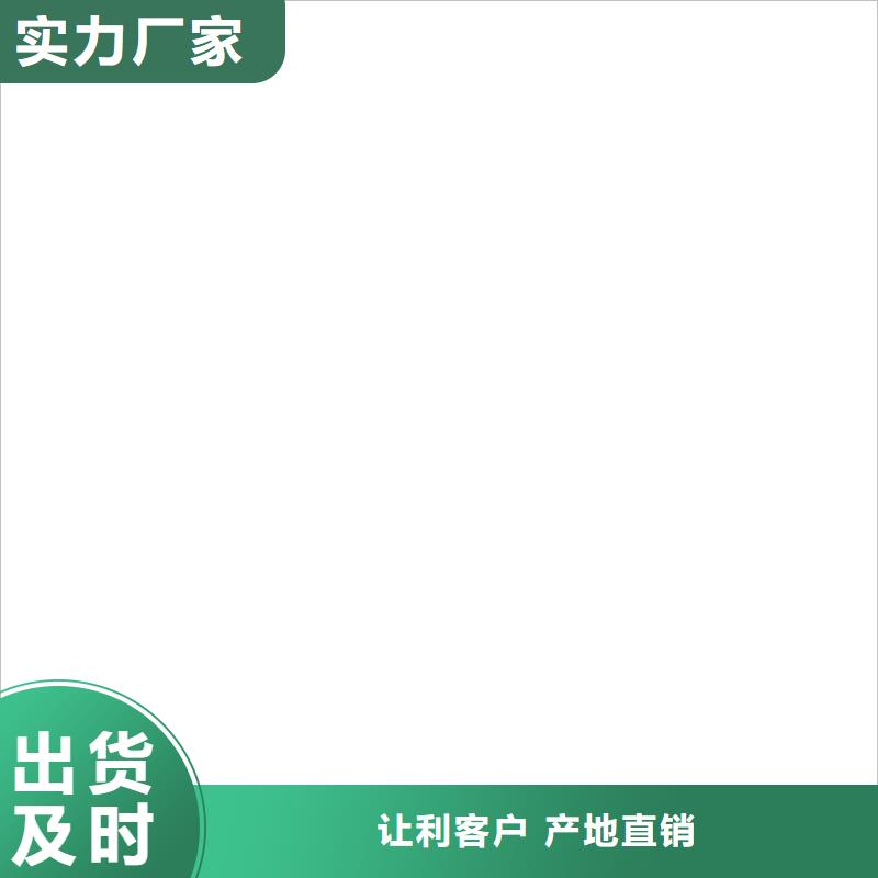 地磅-电子地磅颜色尺寸款式定制