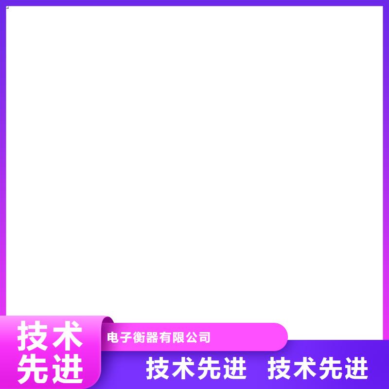 电子皮带秤电子吊秤技术先进