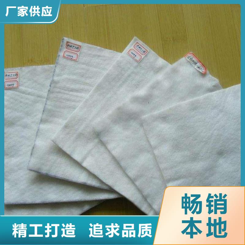 土工布 涤纶土工格栅拥有多家成功案例