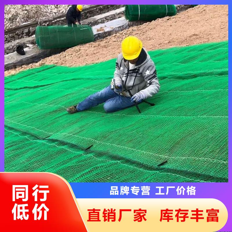 三维植被网双向塑料土工格栅供您所需