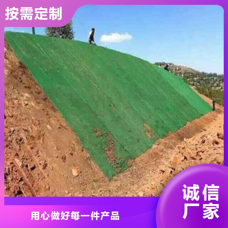 三维植被网双向塑料土工格栅实体厂家大量现货