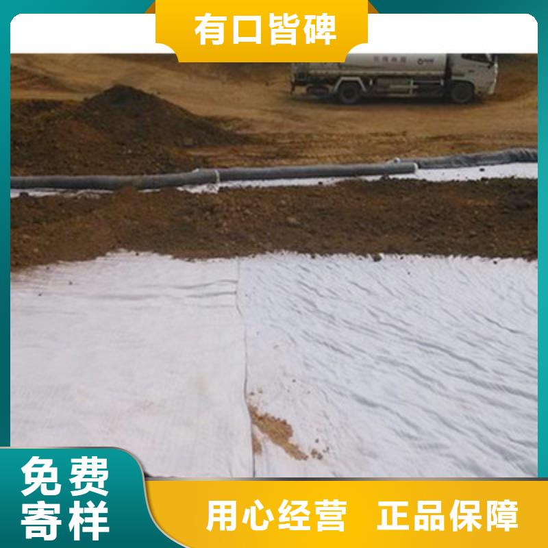 膨润土防水毯-玻纤土工格栅用心做产品