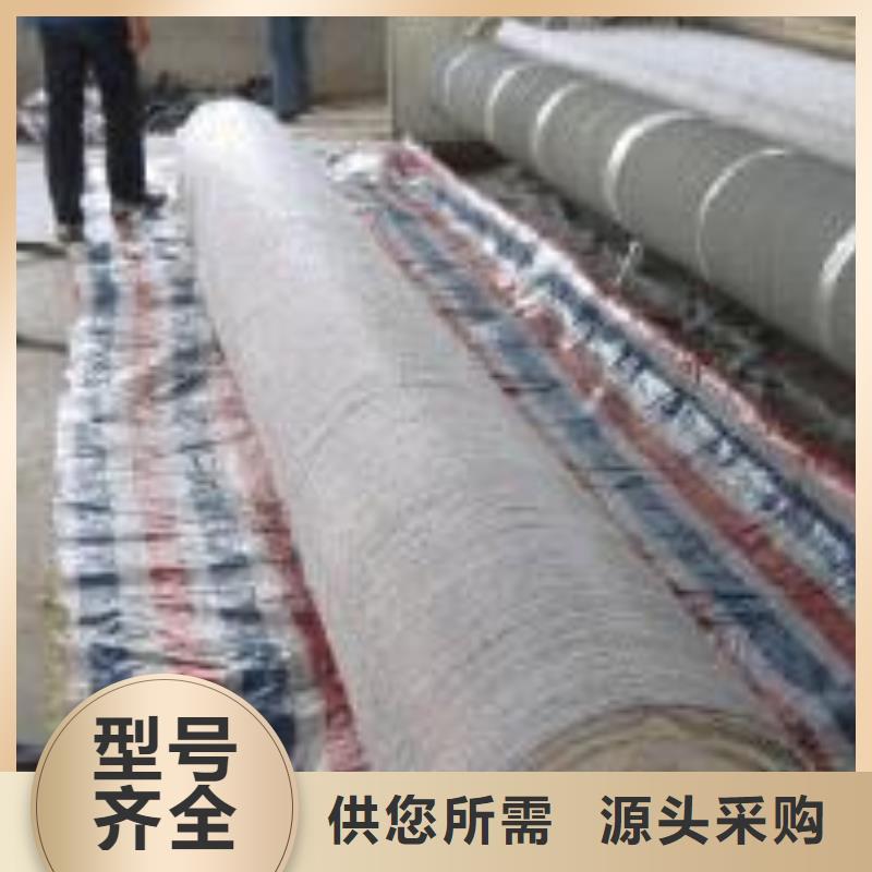 膨润土防水毯-玻纤土工格栅用心做产品