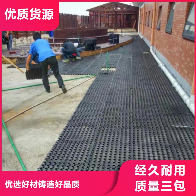 塑料排水板土工膜价格实惠工厂直供