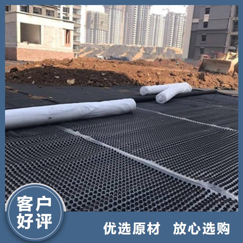 塑料排水板双向塑料土工格栅做工细致