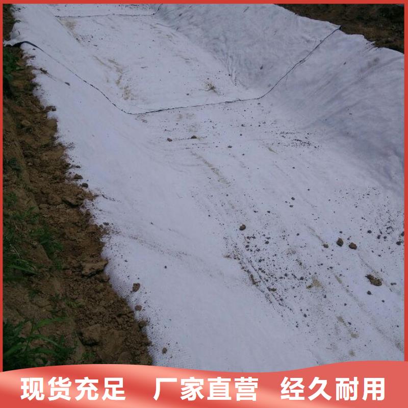 防水毯凸结点钢塑土工格栅好货直销