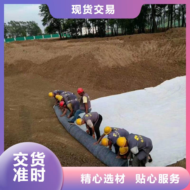 防水毯_钢塑土工格栅厂家选择我们没错